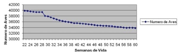 Novos casos da doença de Marek na Argentina. Estudos preliminares - Image 1