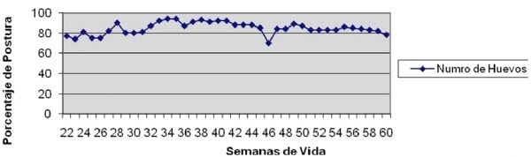 Novos casos da doença de Marek na Argentina. Estudos preliminares - Image 2