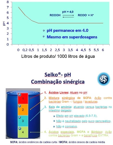 Controle de Salmonella em Integradoras - Image 9