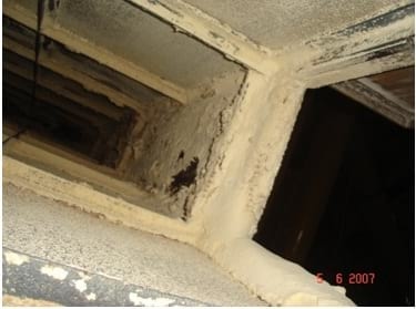 Controle de Salmonella em Integradoras - Image 19