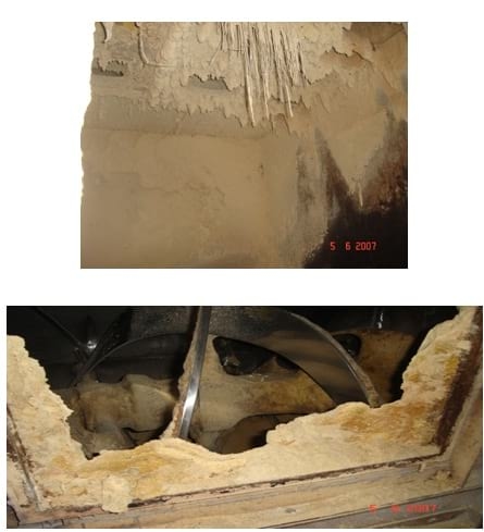 Controle de Salmonella em Integradoras - Image 17