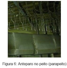 Bem-estar no manejo pré-abate das aves - Image 8