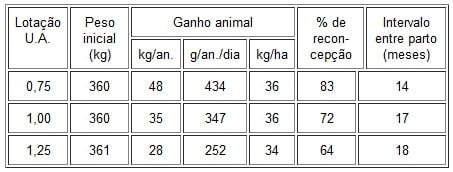 Considerações sobre índices de produtividade da pecuária de corte em Mato Grosso do Sul - Image 8