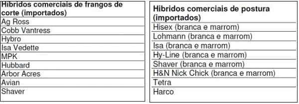 Raças e Linhagens de Galinhas para Criações Comerciais e Alternativas no Brasil - Image 3