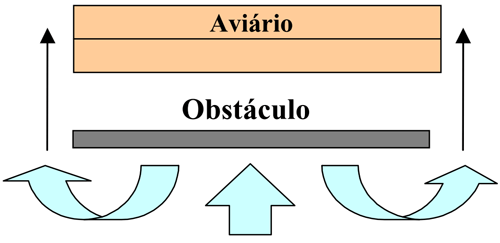 Escolha do local para construção de aviários - Image 2