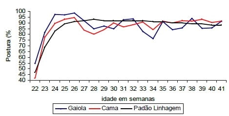 Impactos do bem-estar na produção de ovos - Image 8