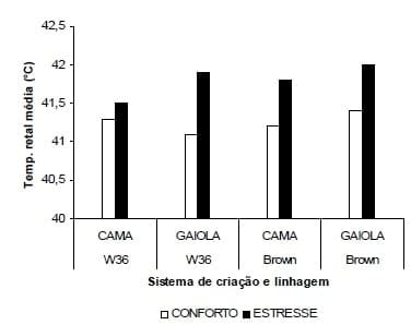 Impactos do bem-estar na produção de ovos - Image 3