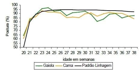 Impactos do bem-estar na produção de ovos - Image 9