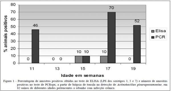 Reação em Cadeia da Polimerase (PCR) baseada no gene cpx para detecção de Actinobacillus pleuropneumoniae em suínos natural e experimentalmente infectados - Image 1