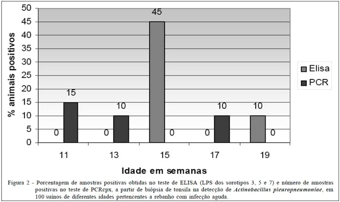 Reação em Cadeia da Polimerase (PCR) baseada no gene cpx para detecção de Actinobacillus pleuropneumoniae em suínos natural e experimentalmente infectados - Image 2