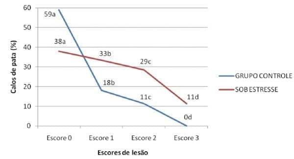 Incidência de pododermatite de contato em frangos de corte submetidos a estresse térmico - Image 3