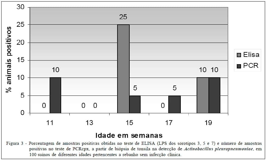 Reação em Cadeia da Polimerase (PCR) baseada no gene cpx para detecção de Actinobacillus pleuropneumoniae em suínos natural e experimentalmente infectados - Image 4