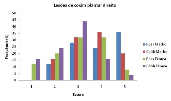 Efeito da linhagem e sexo no desempenho e na frequência de pododermatite em frangos de corte - Image 3