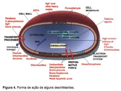 Limpeza e desinfecção na avicultura - Image 4
