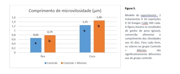 Como melhorar a eficiência alimentar atuando em três pilares - Image 6