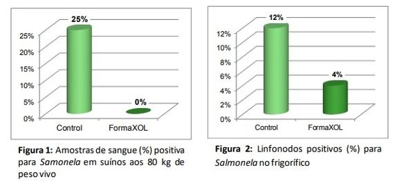 Salmonela na suinocultura - Image 1