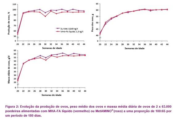 126.000 poedeiras não mentem: O valor nutricional do hidroxianálogo de DL-metionina corresponde a 65% do valor do MetAMINO® - Image 4