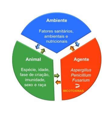 Gerenciamento do Risco Micotoxinas através da tecnologia NIR - Image 1