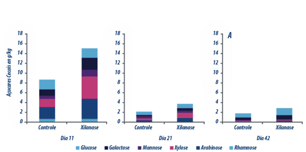 Fibra dietética e fermentação de proteínas no intestino de aves e suínos - Image 8