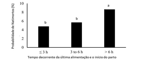 Manejo correto da alimentação pré-parto aumenta o número de leitões nascidos vivos - Image 2