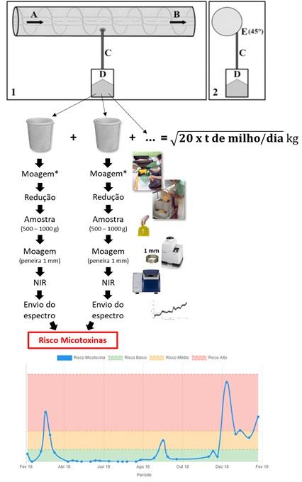 Amostragem para análises de micotoxinas - Image 10