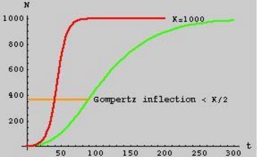 Programa prático de modelagem: ontogenia e alometria - Image 2