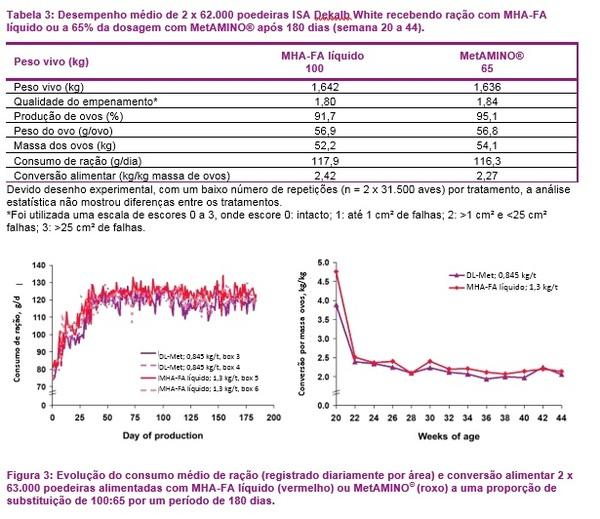 126.000 poedeiras não mentem: O valor nutricional do hidroxianálogo de DL-metionina corresponde a 65% do valor do MetAMINO® - Image 5