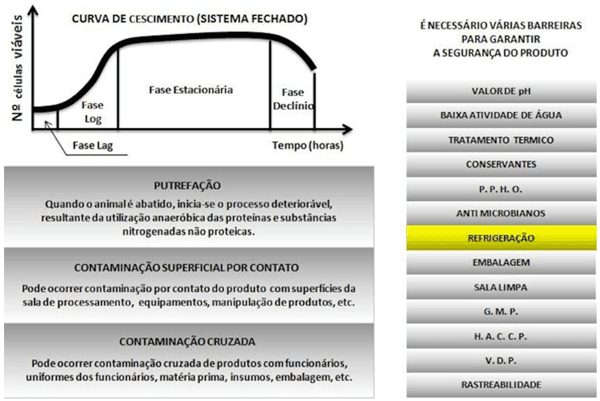Como ser assertivo nos projetos - Image 1