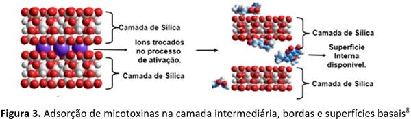 Quais são os pontos chaves na hora da escolha de um adsorvente de micotoxina? - Image 3