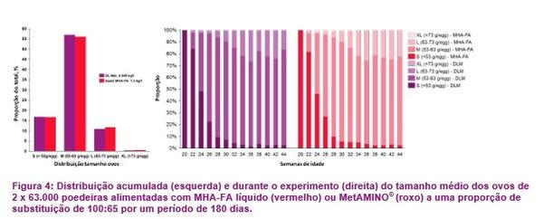 126.000 poedeiras não mentem: O valor nutricional do hidroxianálogo de DL-metionina corresponde a 65% do valor do MetAMINO® - Image 7