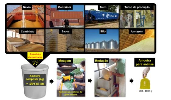 Amostragem para análises de micotoxinas - Image 2