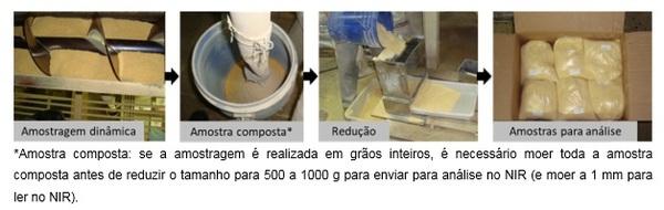 Amostragem para análises de micotoxinas - Image 6