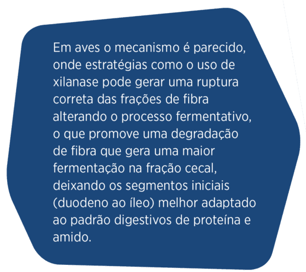 Fibra dietética e fermentação de proteínas no intestino de aves e suínos - Image 6