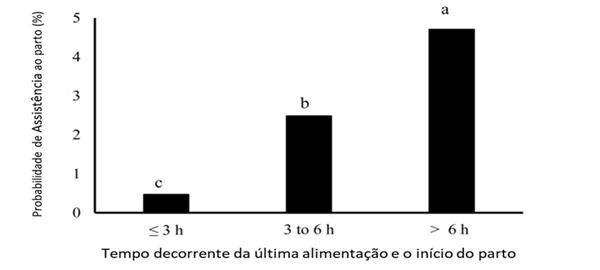 Manejo correto da alimentação pré-parto aumenta o número de leitões nascidos vivos - Image 1