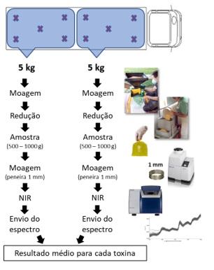 Amostragem para análises de micotoxinas - Image 7