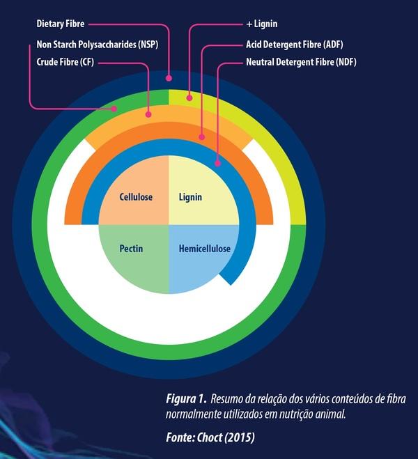Fibra dietética e fermentação de proteínas no intestino de aves e suínos - Image 2