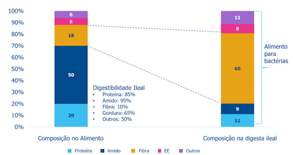 Fibra: uma palavra ampla, confusa e quimicamente mal definida - Image 2