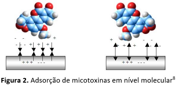 Quais são os pontos chaves na hora da escolha de um adsorvente de micotoxina? - Image 2