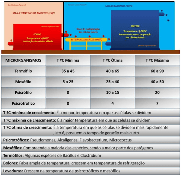 Como ser assertivo nos projetos - Image 7