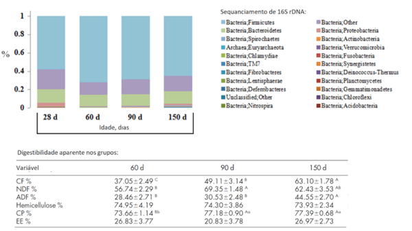 Fibra: uma palavra ampla, confusa e quimicamente mal definida - Image 1