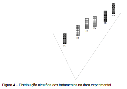 Avaliação da eficiência térmica de materiais utilizados como sistemas de cobertura em instalações avícolas - Image 12