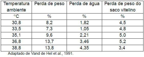 Importância da água na produção de frangos de corte - Image 1