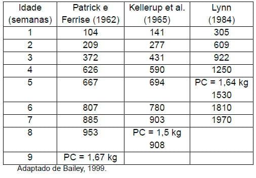 Importância da água na produção de frangos de corte - Image 4