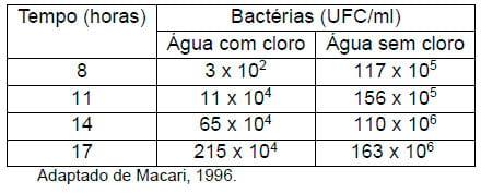 Importância da água na produção de frangos de corte - Image 14