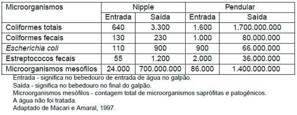 Importância da água na produção de frangos de corte - Image 15