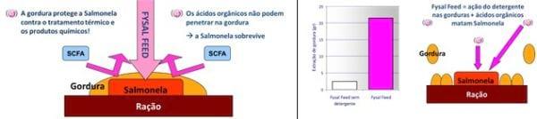 Descontaminação de matéria-prima com alto teor de gordura - Image 4