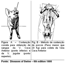 Uso do hemograma em suínos - Image 1