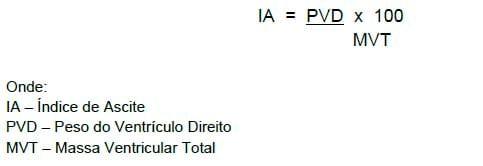 Distúrbios metabólicos em frangos de corte - Image 12