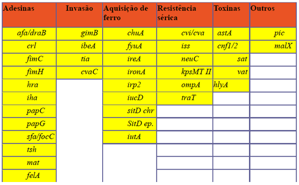 Proposta de análise de risco e de suporte à decisão para a produção e sanidade avícola com a utilização de inteligência artificial - Image 7