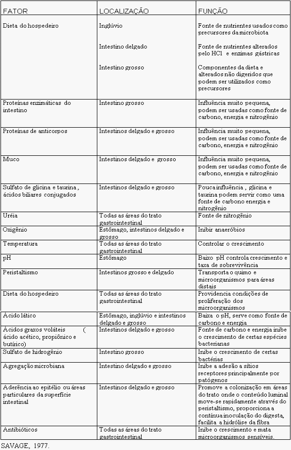 Utilização de leveduras, probióticos e mananoligossacarídeos (mos) na alimentação de frangos de corte - Image 2